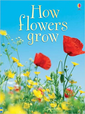 Carti in limba engleza - How Flowers Grow