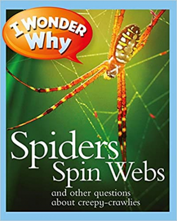 Dupa tematica - I Wonder Why Spiders Spin Webs