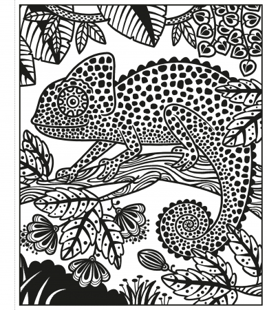 Jungle Magic Painting Book [2]