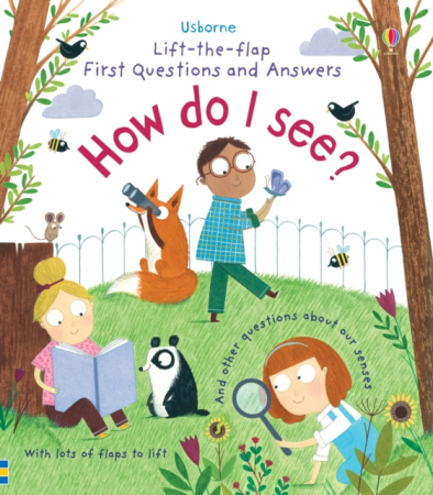 Dezvoltare fizica, mentala si emotionala - Lift-the-Flap First Questions and Answers How do I see?