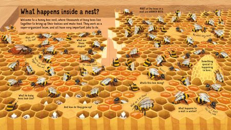 Look Inside the World of Bees [3]