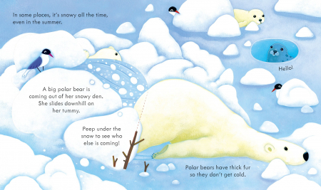 Peep Inside Snowy Places [3]