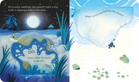 Peep Inside the Seashore [3]
