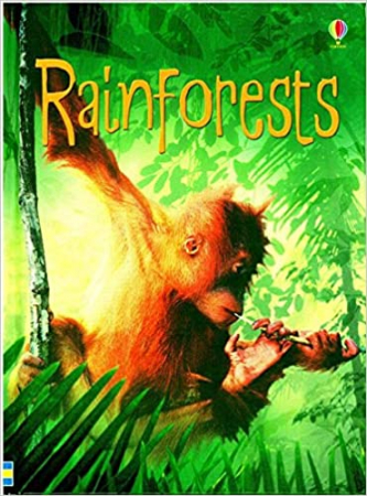 Dupa tematica - Rainforests