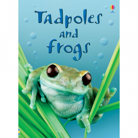 Dupa tematica - Tadpoles and Frogs