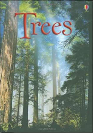 Dupa tematica - Trees