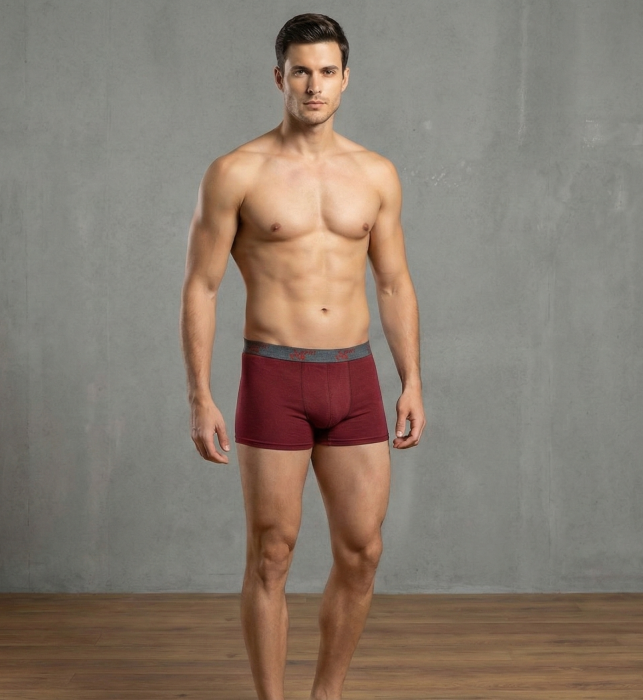 Boxeri Barbati cu banda in talie– Lenjerie Intima din Bumbac Elastic Confortabil Visiniu [3]