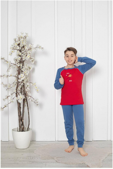 Pijama baieti, din material bumbac, maneci si pantaloni lungi, imprimeu masina, gri embody.ro [2]
