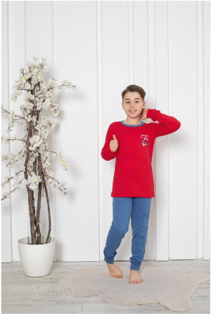 Pijamale copii - Pijama baieti, din material bumbac, maneci si pantaloni lungi, imprimeu masina, gri embody.ro