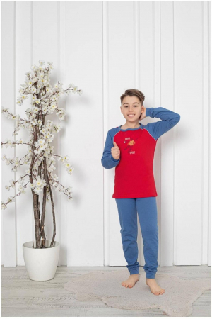 Pijama baieti, din material bumbac, maneci si pantaloni lungi, imprimeu masina, gri embody.ro [1]
