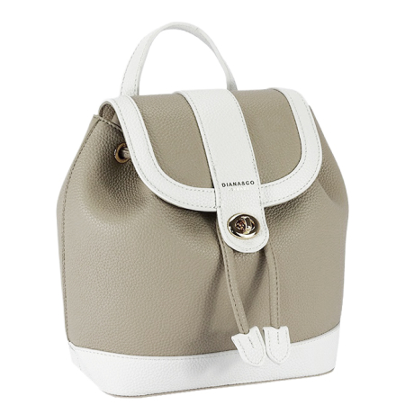Rucsacuri - Rucsac taupe Diana&Co in 2 culori B-DTL743-1 18