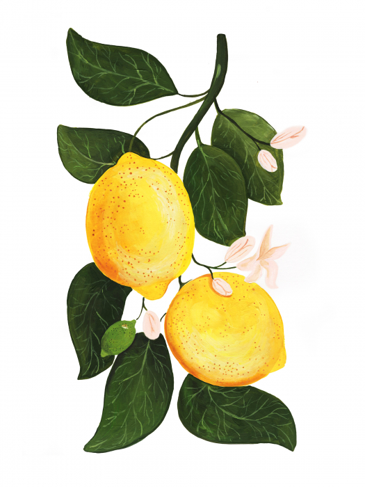 Tablou Lemon [3]