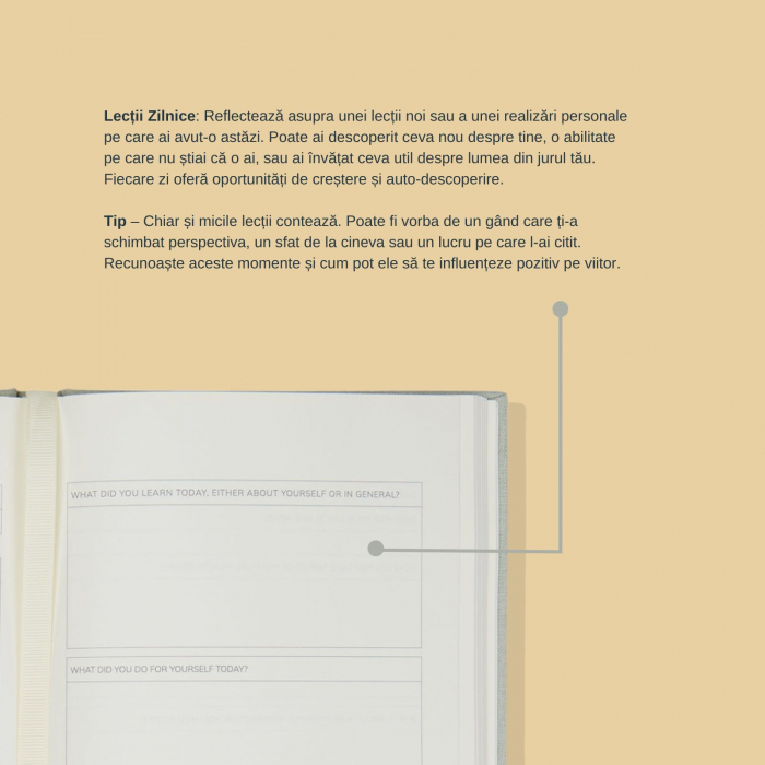 Mind Journal [7]