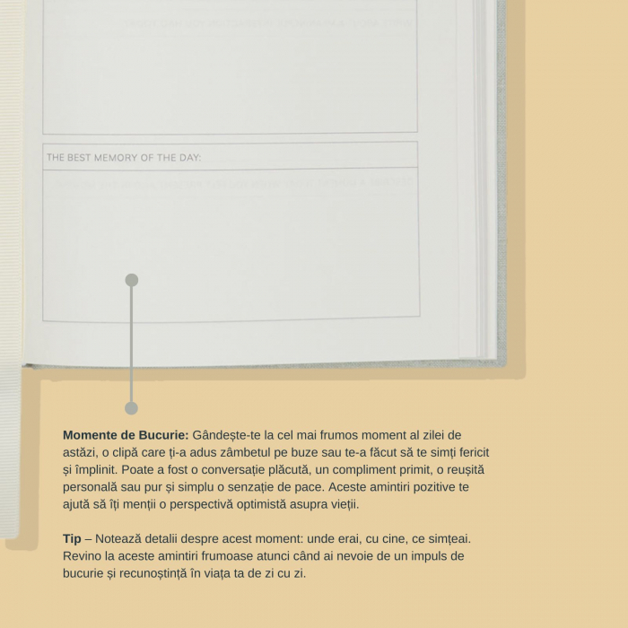 Mind Journal [11]