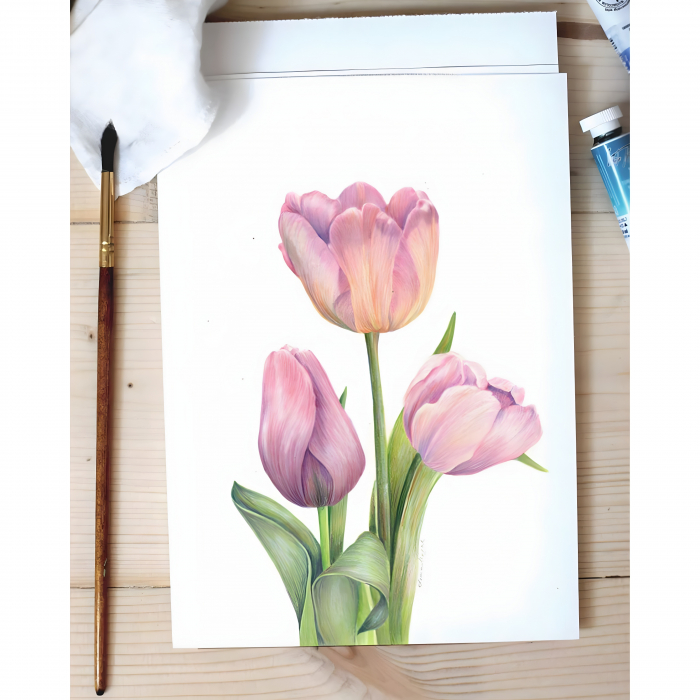 Pink Tulips Painting (colored pencil) [7]
