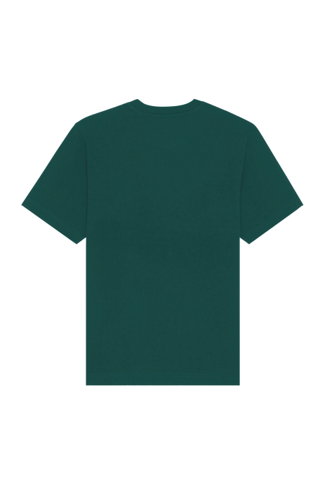 Unisex Friz T-Shirt Plain, Heavy Cotton, Relaxed Fit [2]