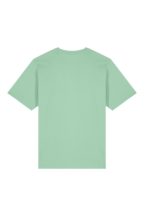Unisex Friz T-Shirt Plain, Heavy Cotton, Relaxed Fit [2]