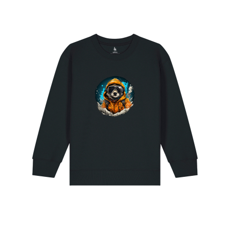 Cadouri pentru copii - Bluza copii, Raccoon