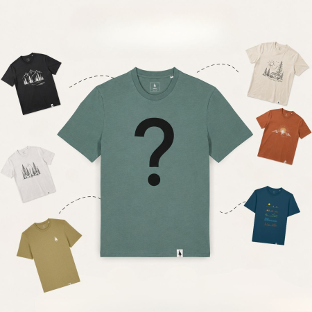 BĂRBAȚI - Mystery Tee | Model Sting