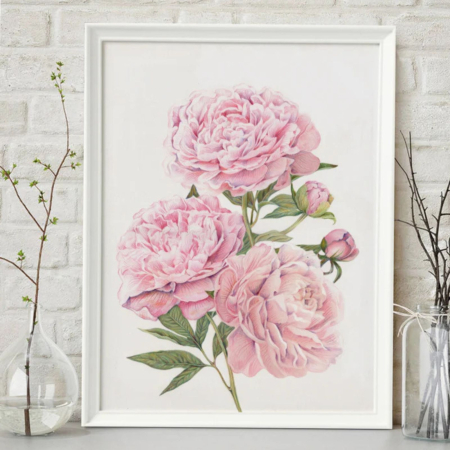 COLABORĂRI - Tablou Bujori