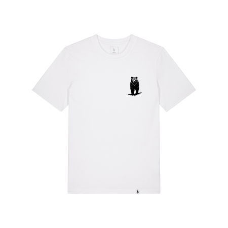img-attr