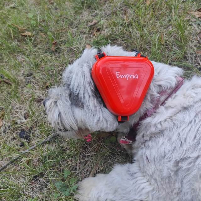 Casti antifonice pentru caini, talie medie si mare, Empria, Diverse culori [23]