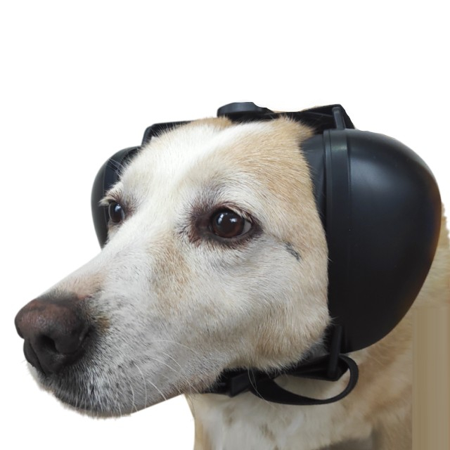Casti antifonice pentru catei, protectie auz animale, dimensiune L, Negru [17]