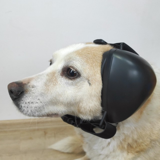 Casti antifonice pentru catei, protectie auz animale, dimensiune L, Negru [12]