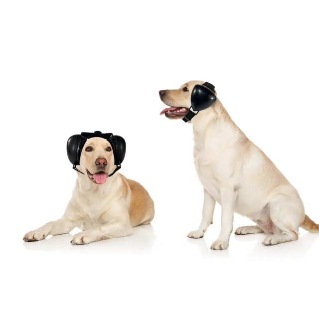 Casti antifonice pentru catei, protectie auz animale, dimensiune L, Negru [15]