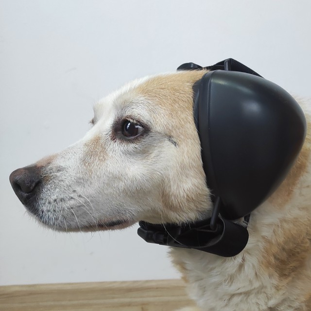 Casti antifonice pentru catei, protectie auz animale, dimensiune L, Negru [6]