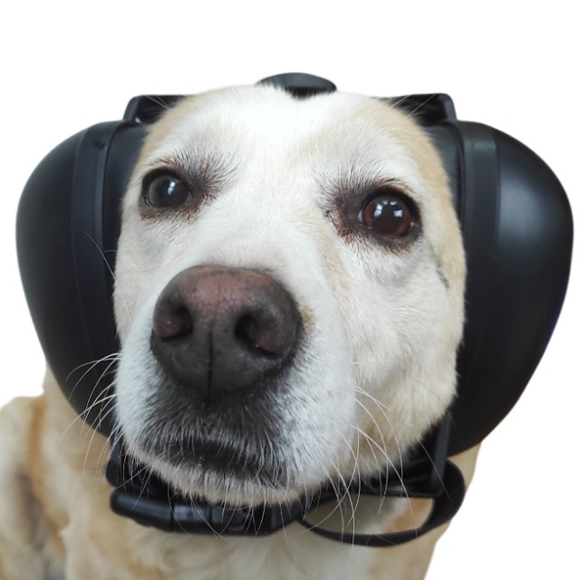 Casti antifonice pentru catei, protectie auz animale, dimensiune L, Negru [19]