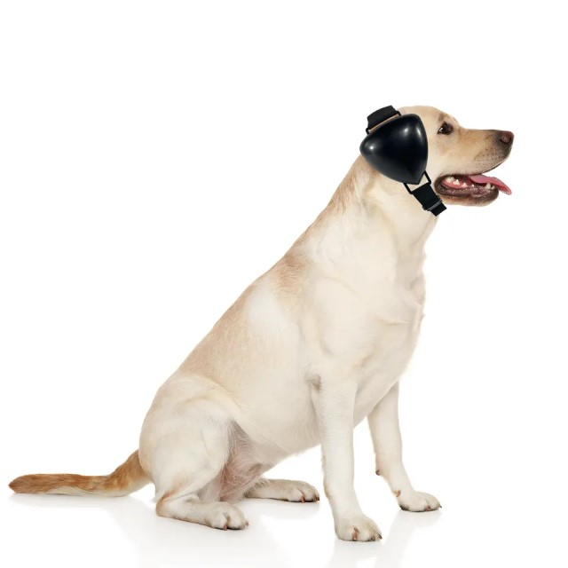 Casti antifonice pentru catei, protectie auz animale, dimensiune L, Negru [5]