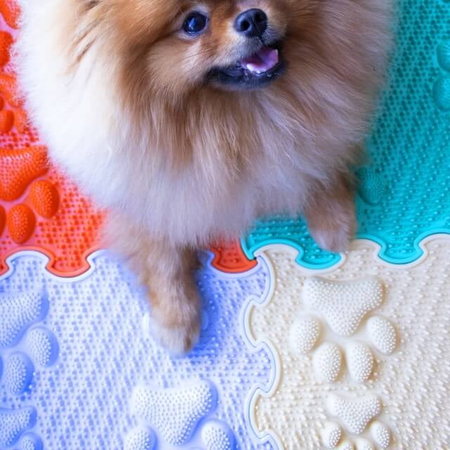 Covoras ortopedic, senzorial, set puzzle, 8 piese, model Lucky Paws, textura rigida, Multicolor [2]