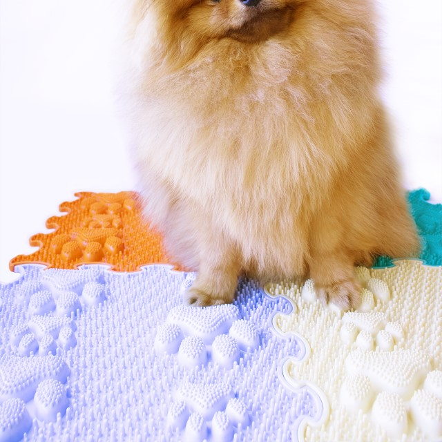 Covoras ortopedic, senzorial, set puzzle, 8 piese, model Lucky Paws, textura rigida, Multicolor