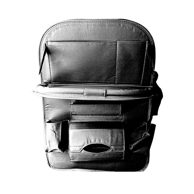 Organizator scaun auto copii, impermeabil, Empria, 63x44.5 cm, Diverse culori [7]