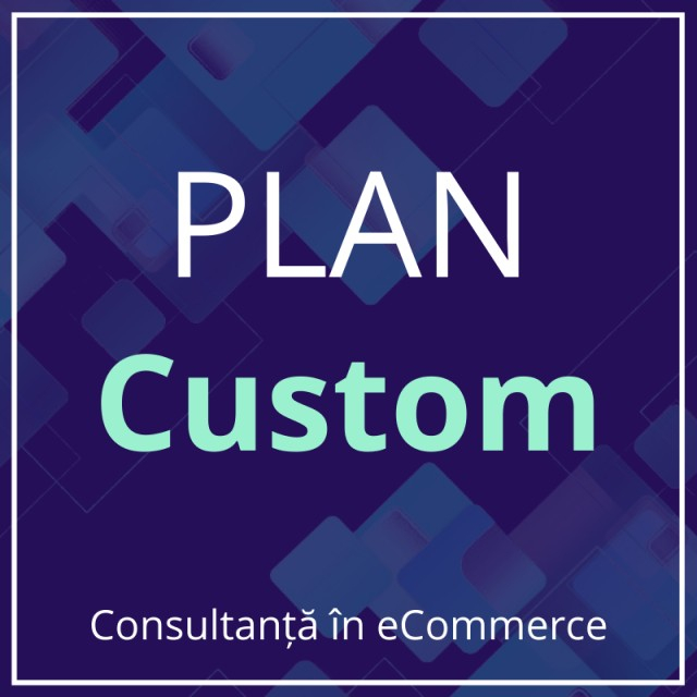Plan Custom ,   Consultanta pentru companii in transformare digitala