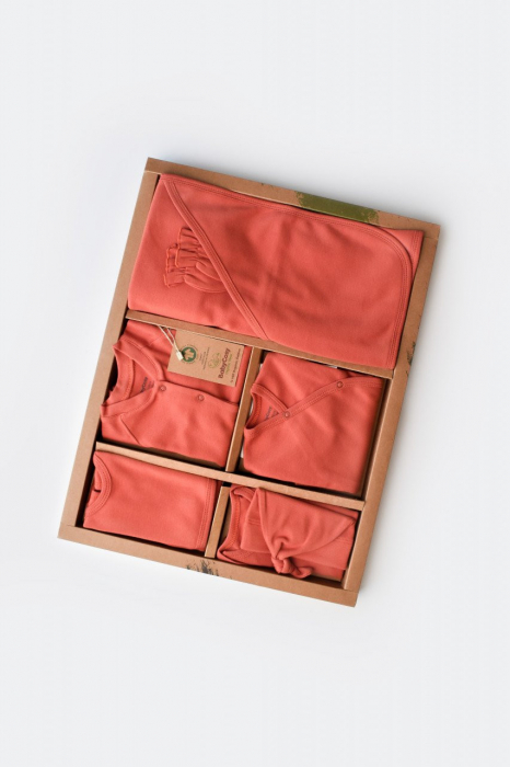 Set de 10 piese pentru nou nascut - 100% bumbac organic - Scortisoara, BabyCosy [4]