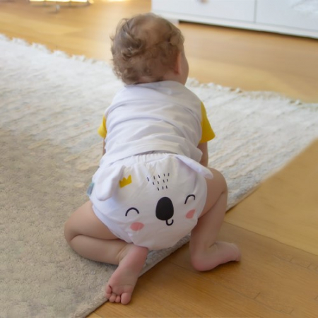 Igiena si ingrijire bebelusi - Chilotel antrenament BabyJem, pentru 2 ani, Diverse culori