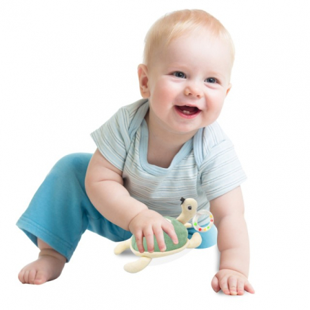 Jucarii bebelusi - Jucarie zornaitoare BabyJem, Broscuta testoasa din plus, +3 luni, Verde