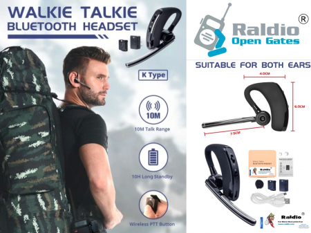 Set RALDIO - comunicare intre motoare [2]