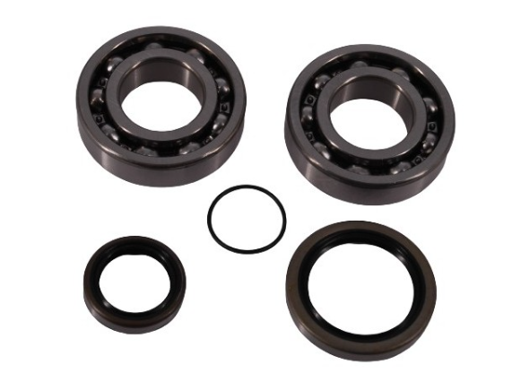 Kit rulmenti ambielaj Beta RR 250/300 '13-'22 (NTN) Enduro Expert 226773EE [1]