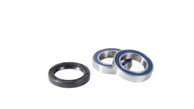 Kit rulmenti roata spate Yamaha YFM 450 FX Wolverine '06-'10 (25-1567) [1]
