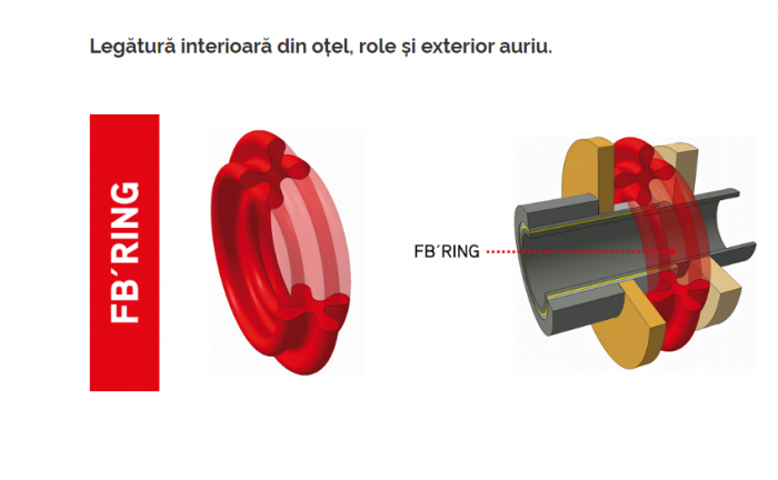 Lant transmisie Iris 520 FB-Ring 100-124 zale Gold [2]