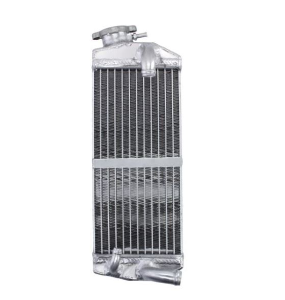 Radiator stanga BETA RR 250/300 '13-'19 OEM 026.39.010.00.00 [1]