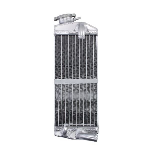 Radiator stanga BETA 250/300 RR '13-'16 [1]