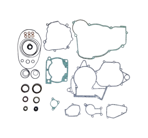 Set complet garnituri motor Beta RR 250/300 Xtrainer '13-'23 (include si simeringuri) Enduro Expert EE-BETA31 [1]
