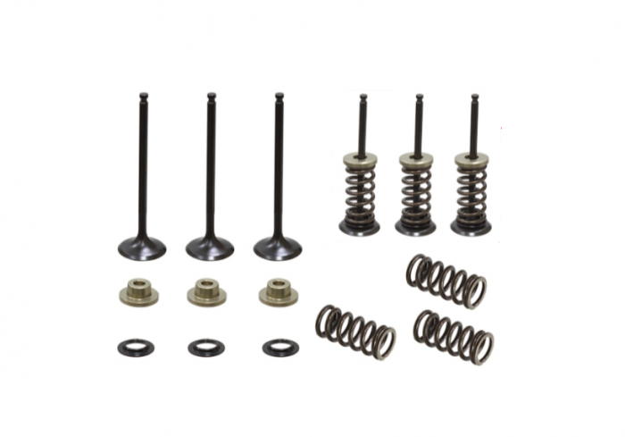 Set complet supape admisie Yamaha YZF 250 '01-'13, GasGas EC 250F '10-15, 300F '13-15 [1]