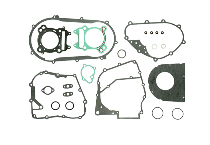 Set garnituri motor Yamaha YFM 300 Grizzly '12-'13 [1]