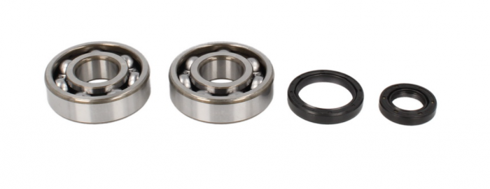 Set rulmenti ambielaj Suzuki RM 125 '89-'08 Allballs 24-1016 [1]
