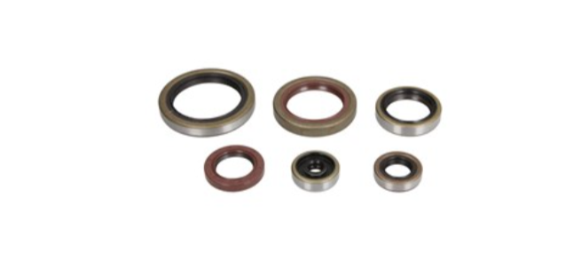 Set simeringuri motor Beta 250/300 RR '14-'17 P400060400011 [1]